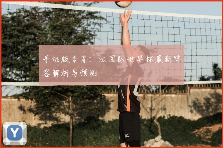 手机版专享：法国队世界杯最新阵容解析与预测