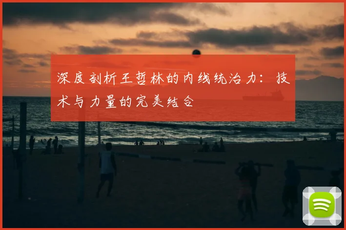 深度剖析王哲林的内线统治力：技术与力量的完美结合