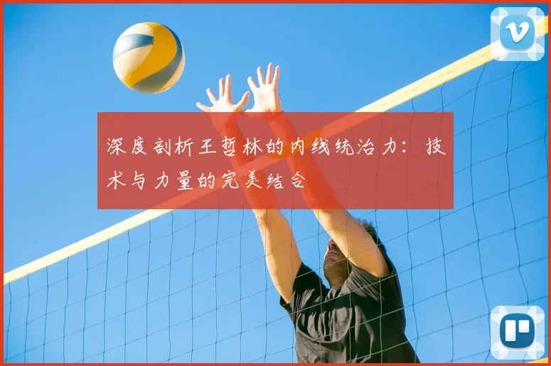 深度剖析王哲林的内线统治力：技术与力量的完美结合