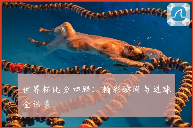 世界杯比分回顾：精彩瞬间与进球全记录