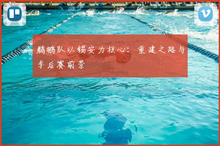 鹈鹕队以锡安为核心：重建之路与季后赛前景