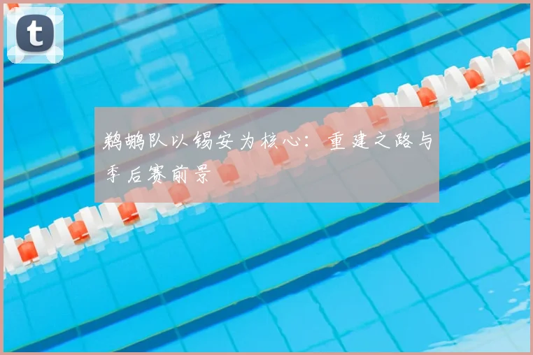 鹈鹕队以锡安为核心：重建之路与季后赛前景